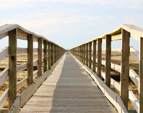 Screw Piles for Boardwalks and Bridges